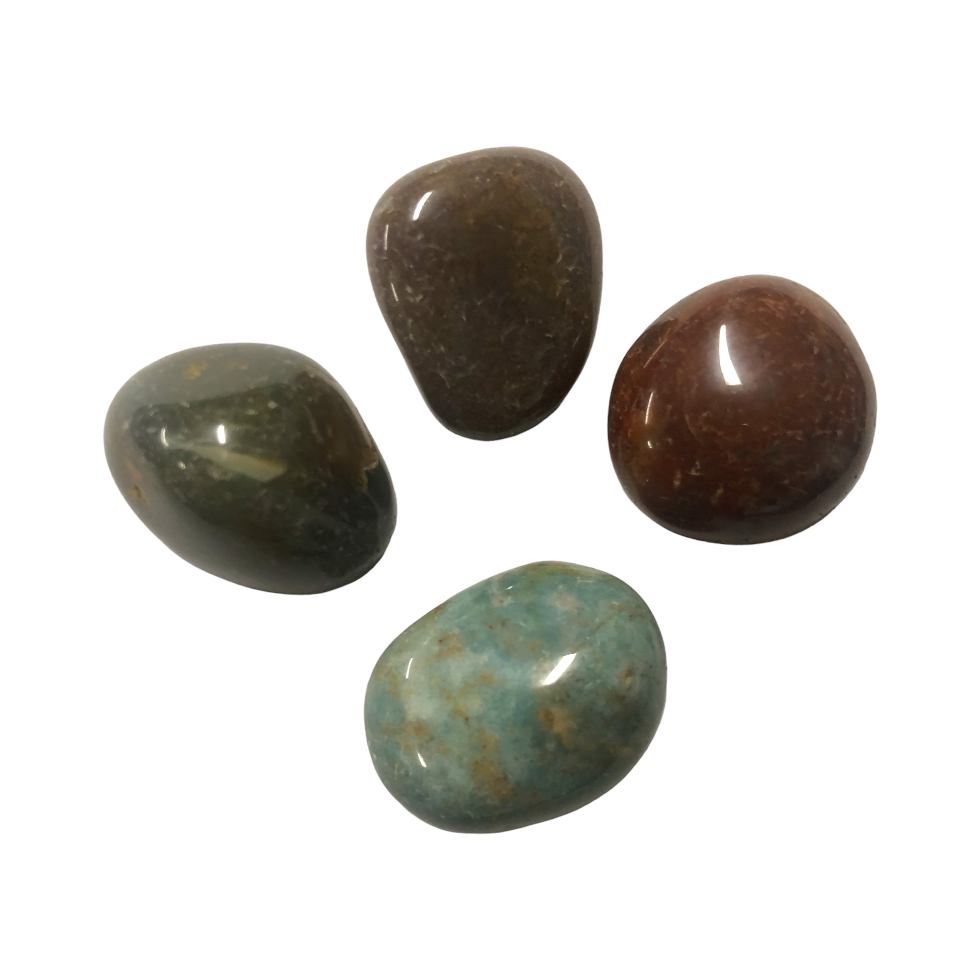 Jasper - Fancy Tumble $3